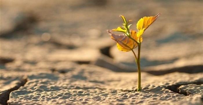 Hunger in Africa still rising - new UN report