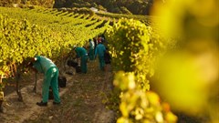 Agriculture continues to create jobs despite tough three years