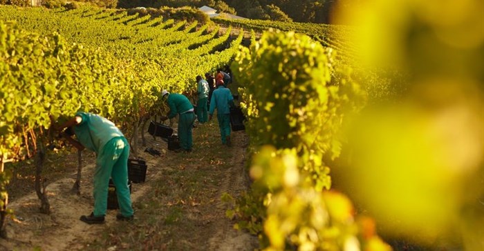 Agriculture continues to create jobs despite tough three years