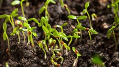 How to fight climate change in agriculture while protecting jobs