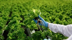 International push to improve food safety