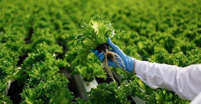 International push to improve food safety