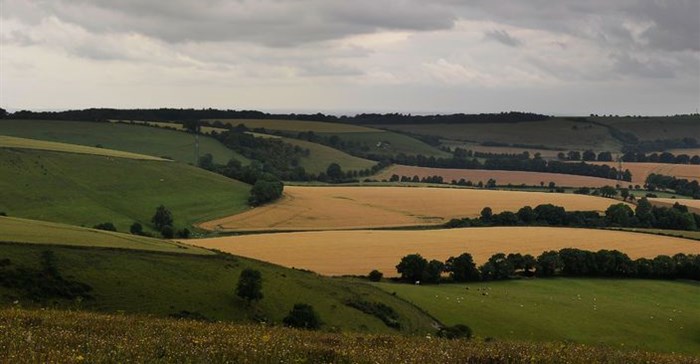 #BudgetSpeech2019: Agbiz welcomes change of tone on agricultural development