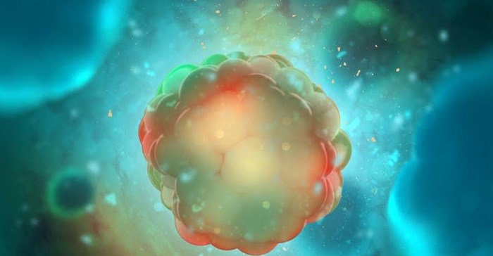 Andrii Vodolazhskyi/Shutterstock