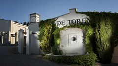 Going to great lengths to tell the truth of the vine