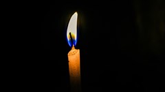 Why these rolling blackouts are an opportunity for brands