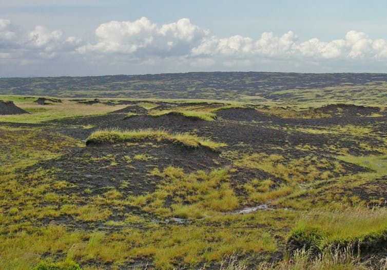 Eroding soil in England’s Peak District. Richard Lindsay, Author provided