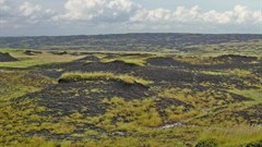 Carbon farming: How agriculture can both feed people and fight climate change