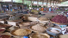 Connecting food waste and sanitation services can help African farmers