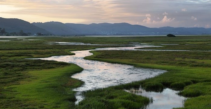 Earth observation data offers hope for Africa's wetlands