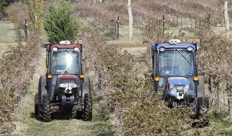 Two driverless tractors spray vines in a Texas vineyard. Each one is controlled from a single command station (2012).<p>,