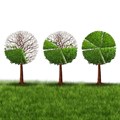 Green economy to grow SA economy