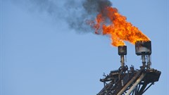 Private sector funding essential to combat climate change in Africa