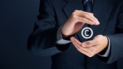 Creative coalition to challenge Copyright Amendment Bill