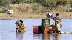 Migration and displacement: the human face of climate change