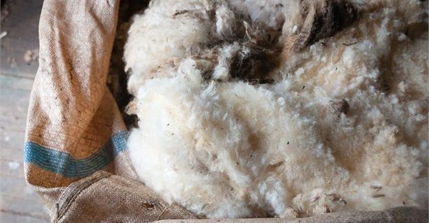 SA wool market resilient despite China's suspension
