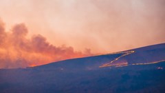 Climate change: Africa confronts global warming