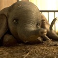 #OnTheBigScreen: Dumbo, Us and Hotel Mumbai