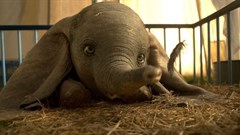 #OnTheBigScreen: Dumbo, Us and Hotel Mumbai