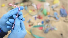 Winning with sustainability in retail