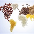 Global grains market developments, and the implications for SA