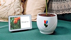 From the daring to the daft: 2019's April Fools jokes rated