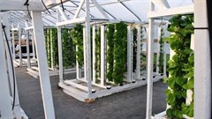 UJ to host inaugural African Conference on Vertical Farming and Urban Agriculture