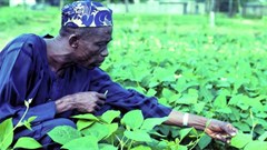 Mobile app aiding farming data collection and sharing