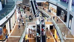 Meeting the green education challenge