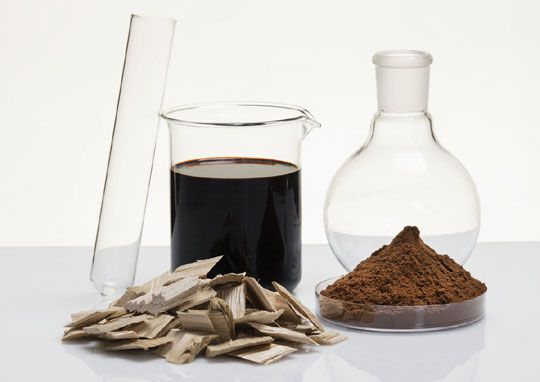 Sappi and Borregaard celebrate 20 years of biorefinery investment