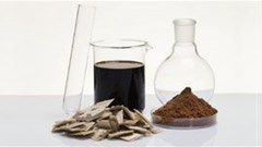 Sappi and Borregaard celebrate 20 years of biorefinery investment