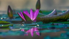 Wealth from waste - three ways pollution can be turned into something useful