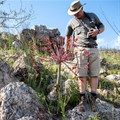 Gondwana Game Reserve launches new fynbos conservation experience