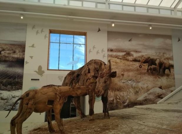 West Coast Fossil Park near Langebaan on The Artist’s Journey