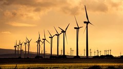 Watson wind farm stopped - for now