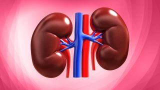 Drug reduces kidney failure in diabetics
