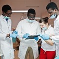 Health professionals must work effectively in a team. Shutterstock