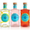 Pernod Ricard signs deal to acquire Malfy gin