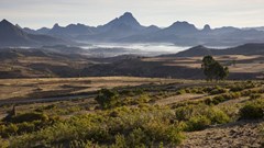 #WTMA19: How tourism became an economic saving grace in sub-Saharan Africa