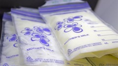 Human milk banks collect, pasteurise, test, store, and distribute donated breastmilk. NataBU/Shutterstock