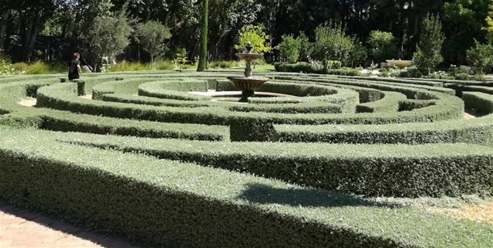 Explore the labyrinth at Big Dog Cafe