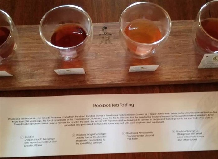 Rooibos tea tasting