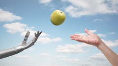 AI systems are prepared to learn - but are we ready to teach them?