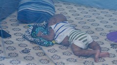 Mosquito nets are often used where malaria is common. Shutterstock