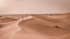 Should we turn the Sahara Desert into a huge solar farm?