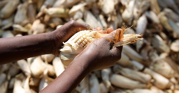 Africa Food Security 11 via