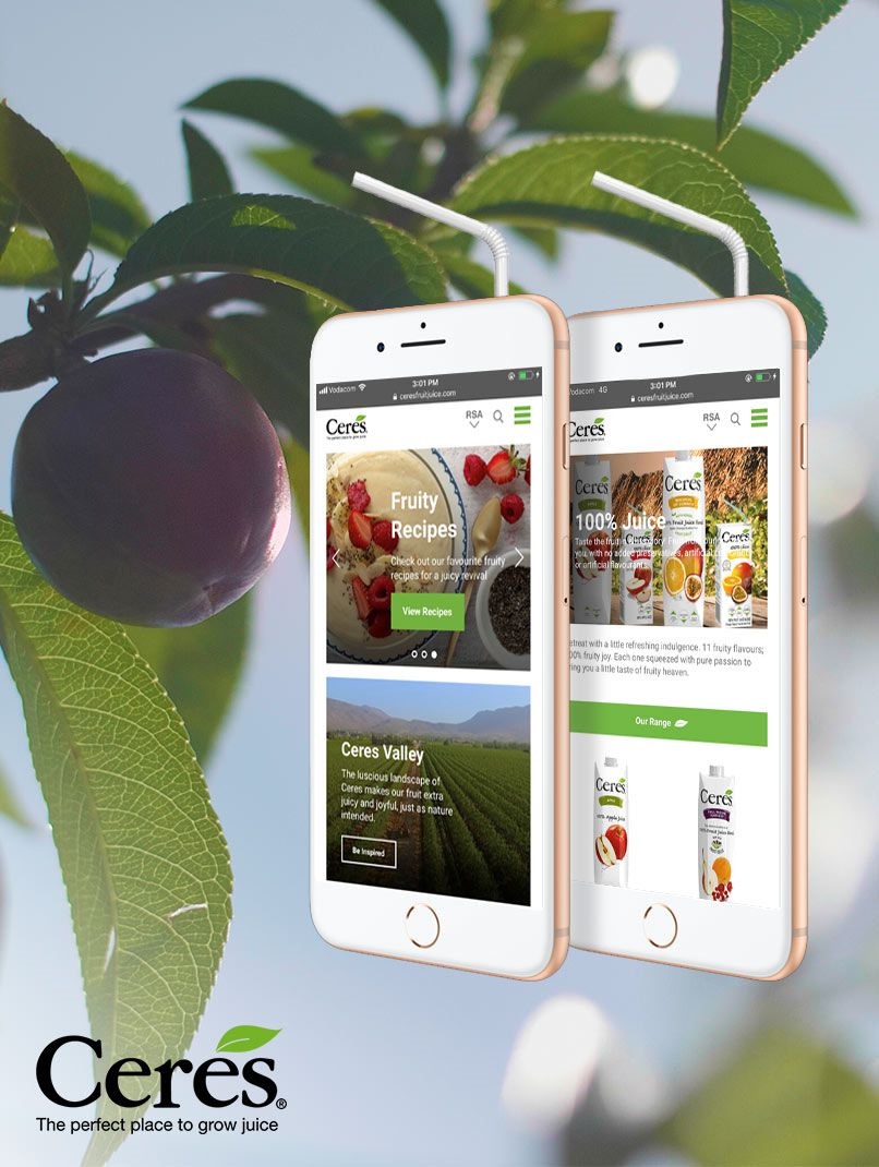 Ceres gets a new highly interactive website from Techsys Digital