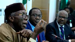 AfDP's agro-industrial processing zones will drive agriculture in Africa, says investors