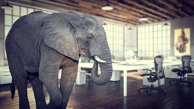 Lack of diversity: The elephant in the boardroom