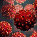 Measles virus. Design_Cells/Shutterstock
